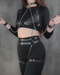 Venus | Set Arnes