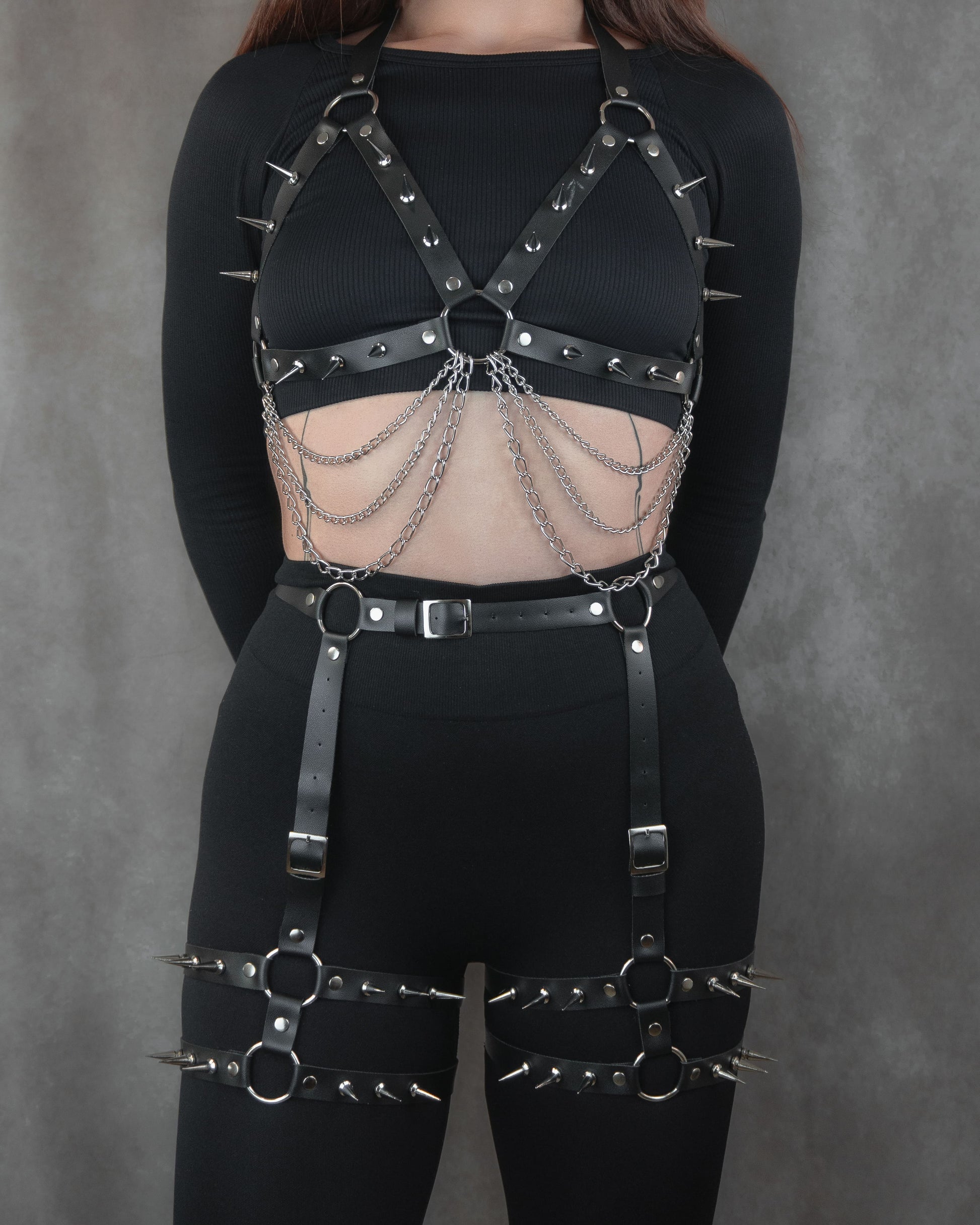 Crux | Set Arnes