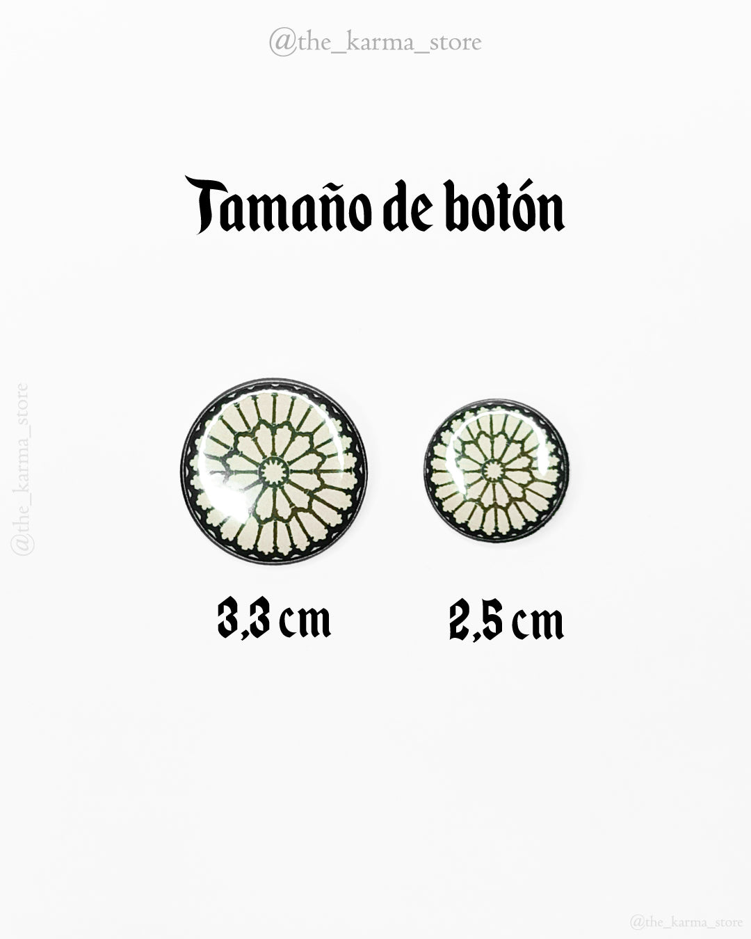 Anatomía