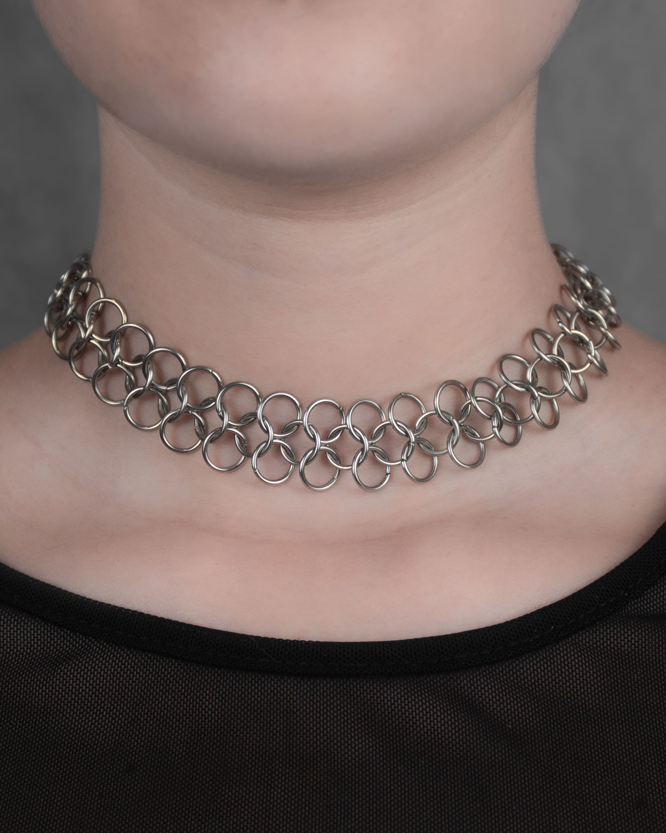 Warden (Acero Inoxidable) | Collar