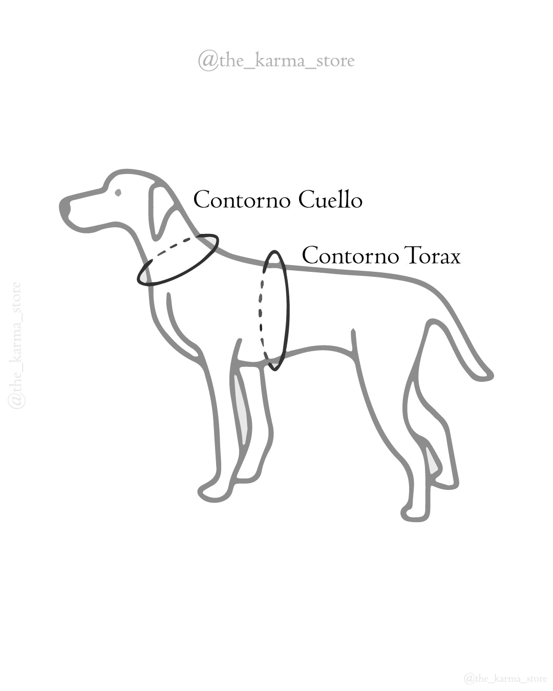 Alitas para mascotas